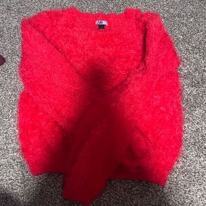 Red Fuzzy Sweater